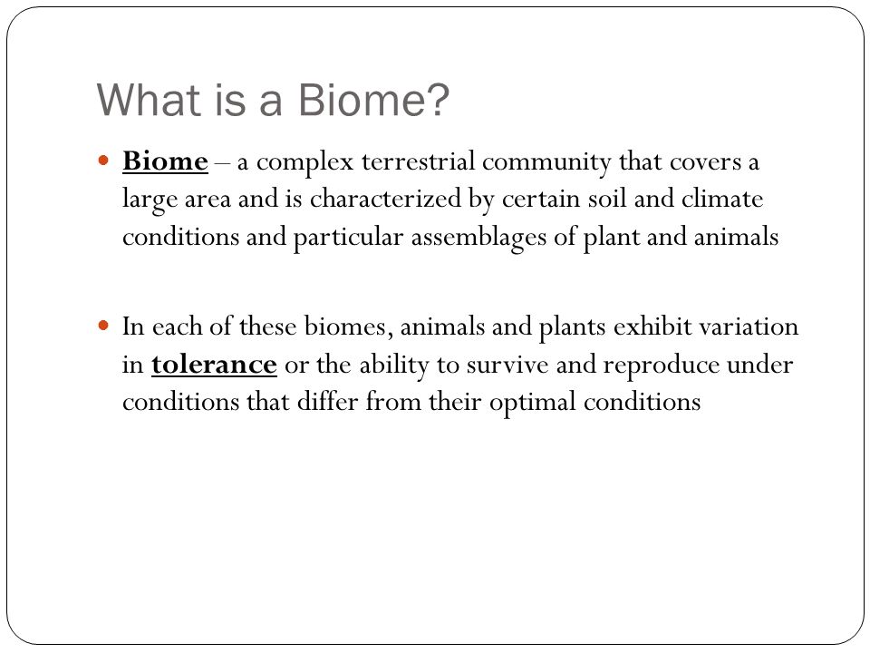 What is a Biome.