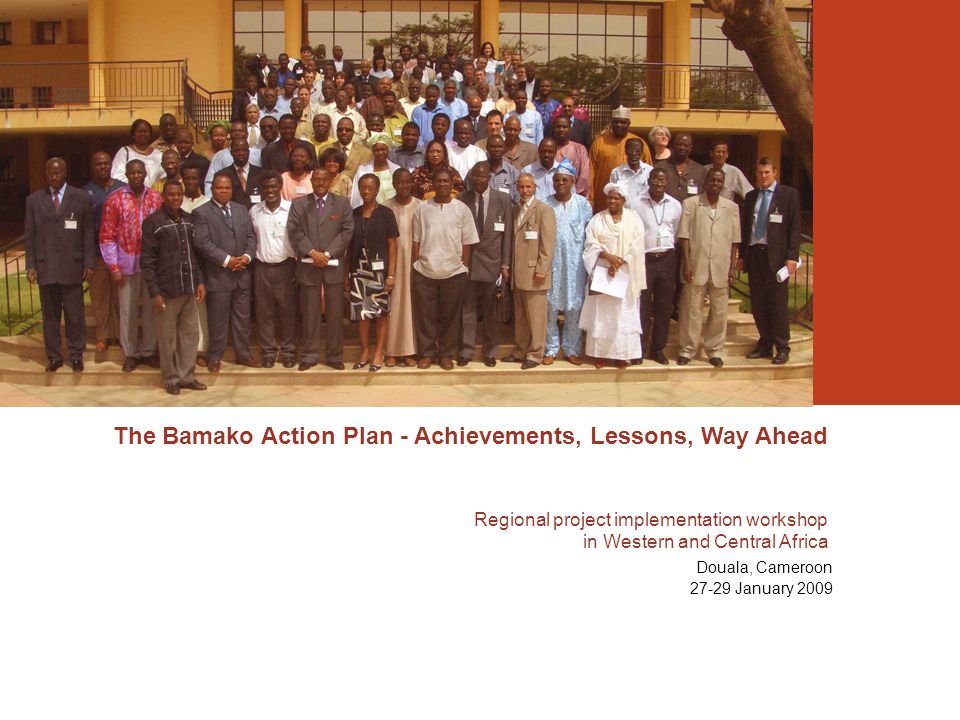 The Bamako Action Plan - Achievements, Lessons, Way Ahead Regional project implementation workshop in Western and Central Africa Douala, Cameroon January 2009