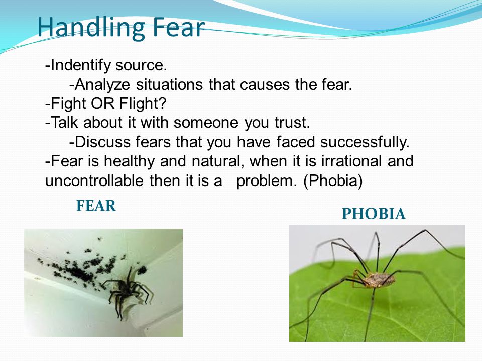 Handling Fear FEAR PHOBIA -Indentify source. -Analyze situations that causes the fear.