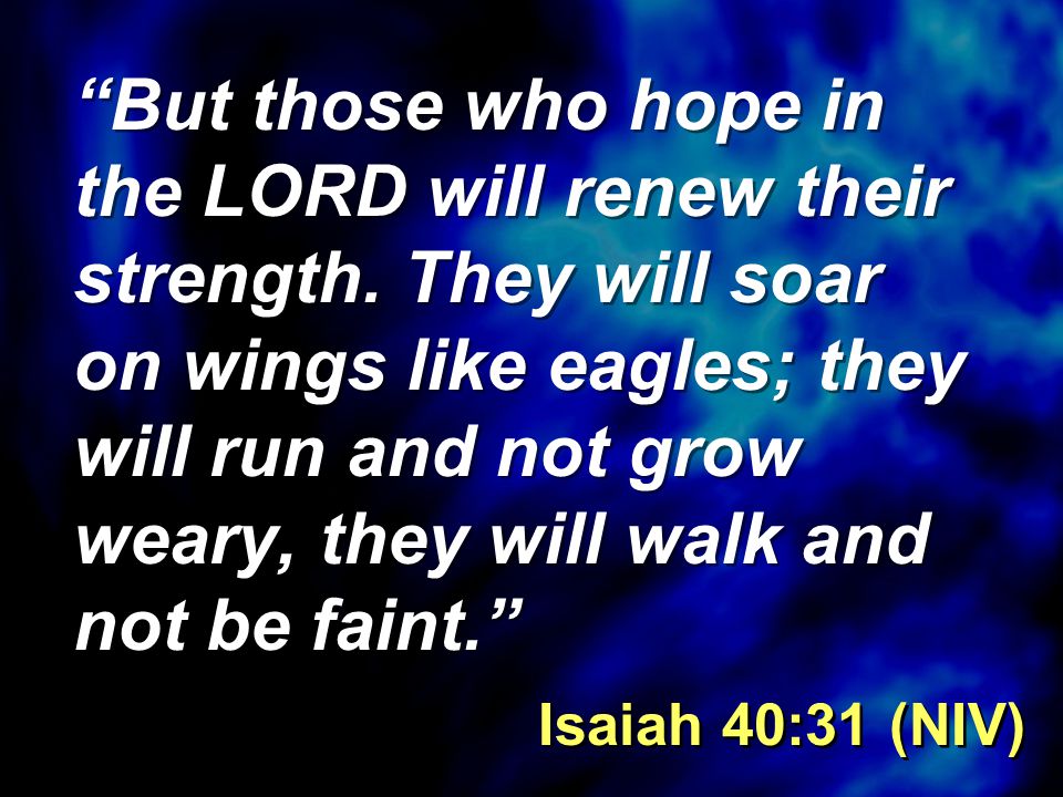 But those who hope in the LORD will renew their strength.