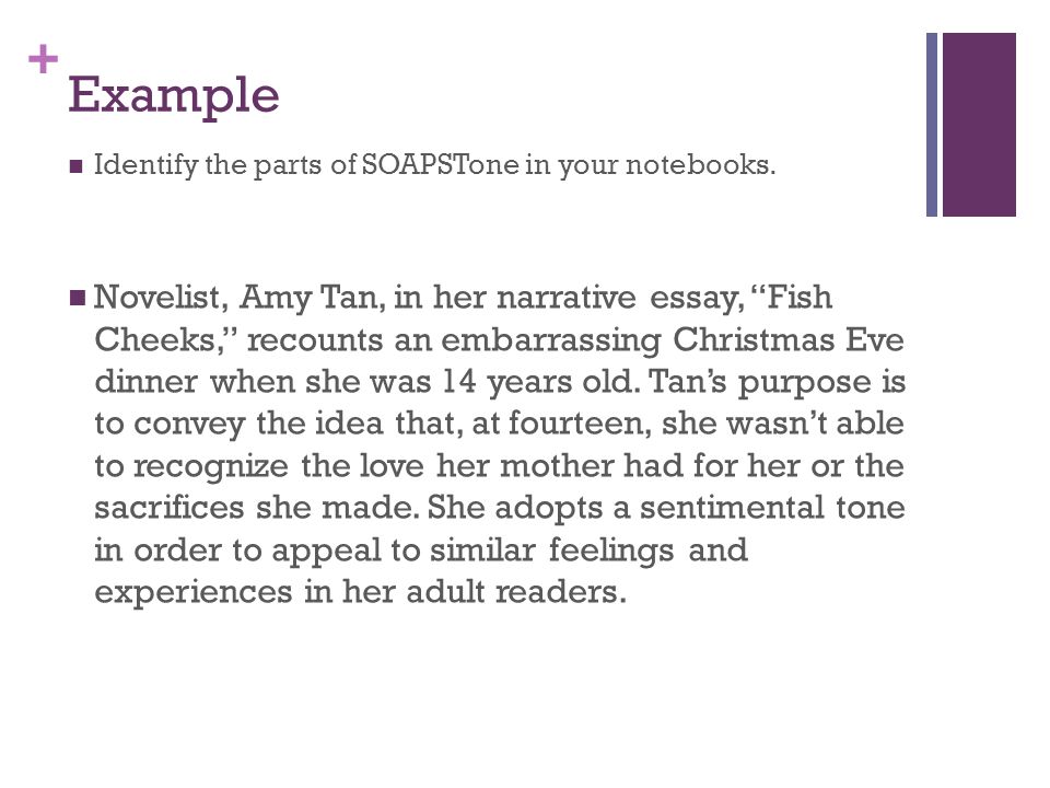 literary elements in fish cheeks by amy tab literary elements in fish cheeks by amy tab