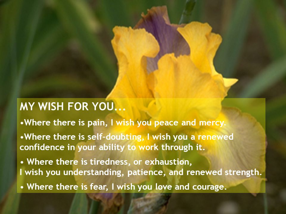 MY WISH FOR YOU... Where there is pain, I wish you peace and mercy.