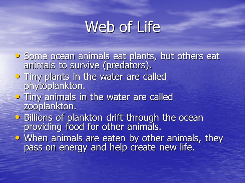 Web of Life Some ocean animals eat plants, but others eat animals to survive (predators).