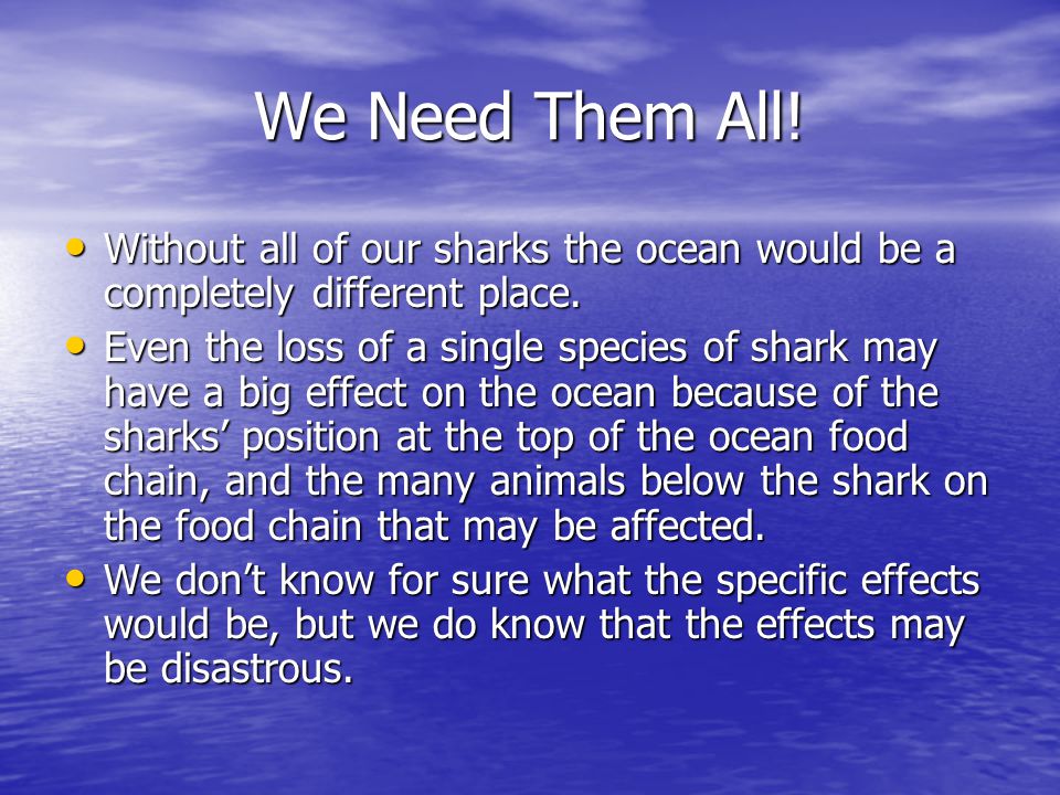 We Need Them All. Without all of our sharks the ocean would be a completely different place.