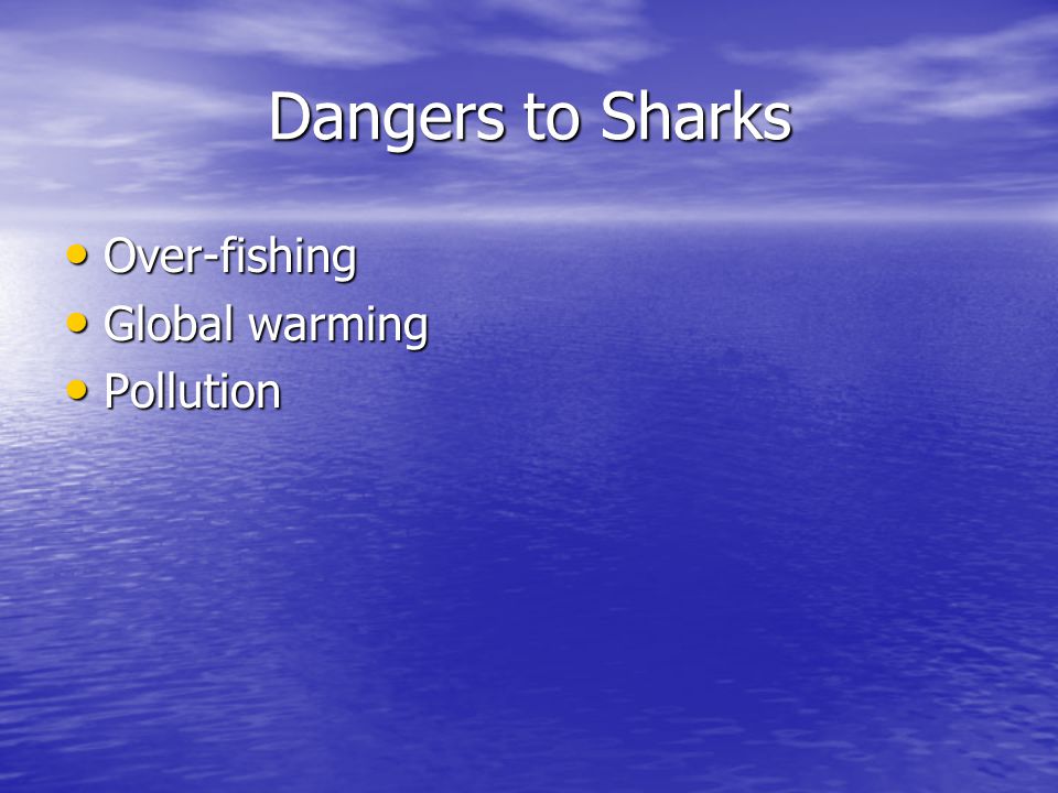 Dangers to Sharks Over-fishing Over-fishing Global warming Global warming Pollution Pollution