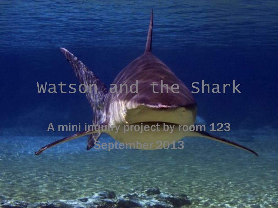 Watson and the Shark A mini inquiry project by room 123 September 2013