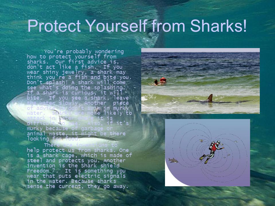 Protect Yourself from Sharks. You’re probably wondering how to protect yourself from sharks.