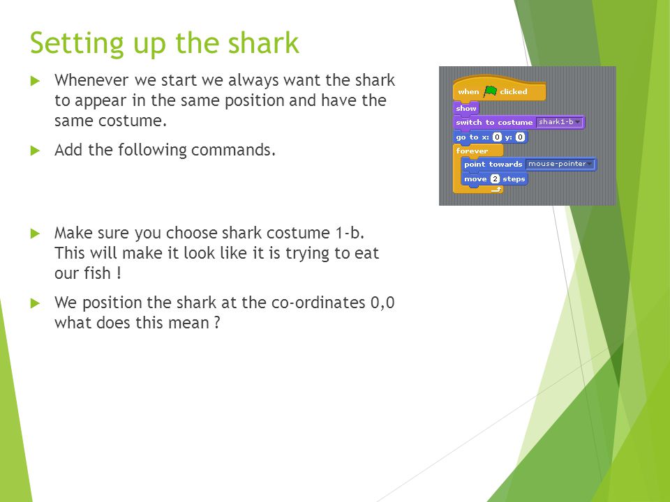  Whenever we start we always want the shark to appear in the same position and have the same costume.