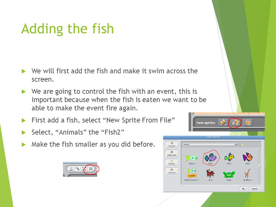 Adding the fish  We will first add the fish and make it swim across the screen.