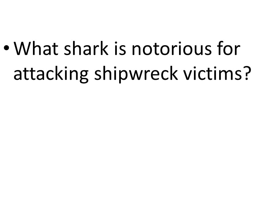 What shark is notorious for attacking shipwreck victims