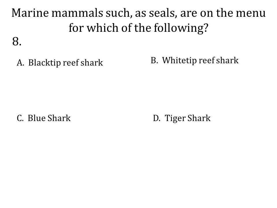 Marine mammals such, as seals, are on the menu for which of the following.