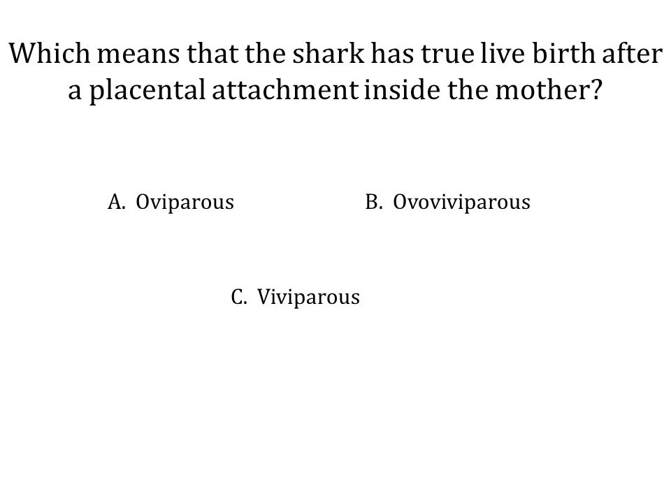 Which means that the shark has true live birth after a placental attachment inside the mother.