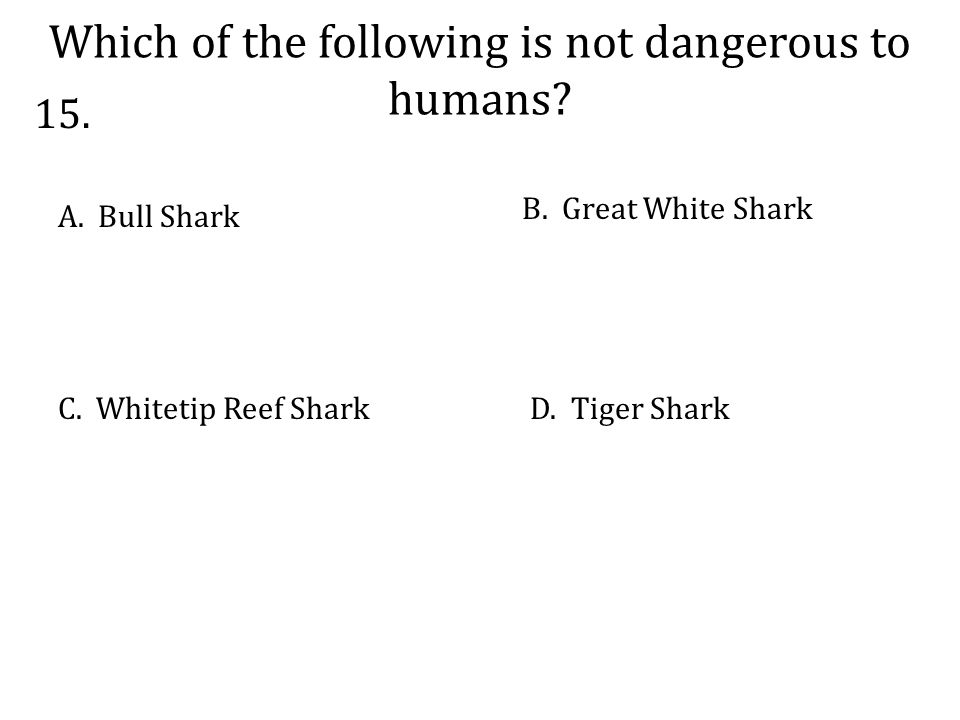 Which of the following is not dangerous to humans.