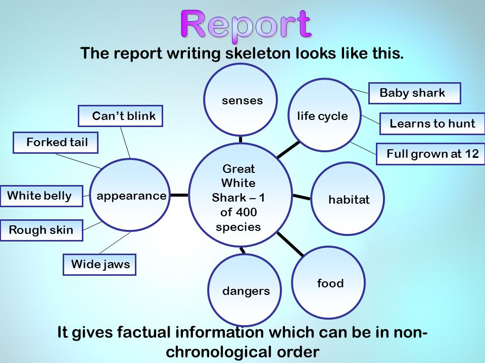 The report writing skeleton looks like this.