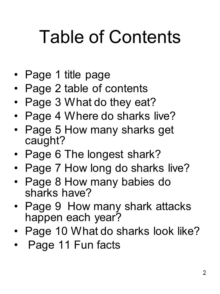 2 Table of Contents Page 1 title page Page 2 table of contents Page 3 What do they eat.