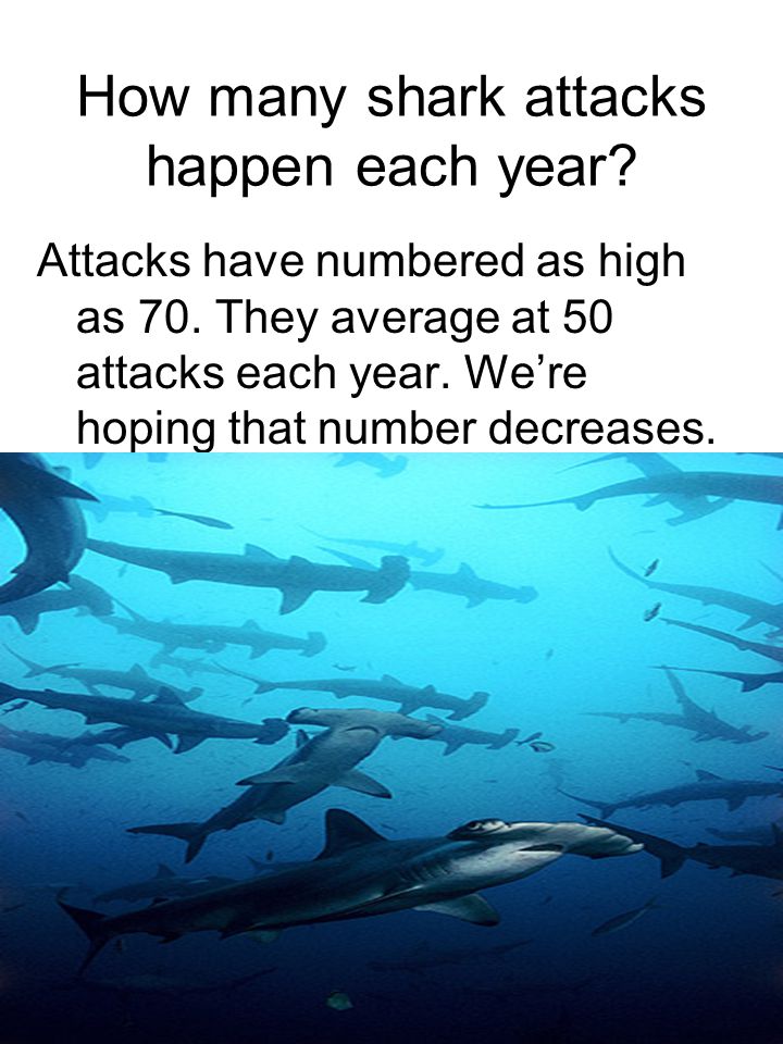 5 How many shark attacks happen each year. Attacks have numbered as high as 70.