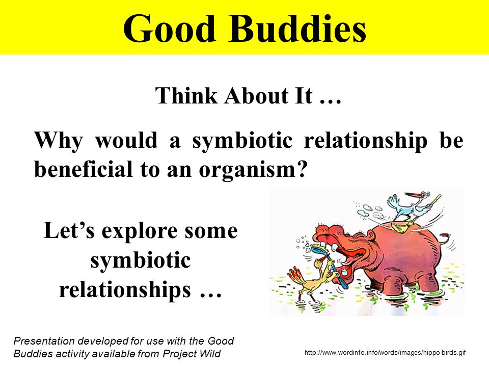 Printables Symbiotic Relationships Worksheet good buddies think about it why would a symbiotic relationship be beneficial to an organism