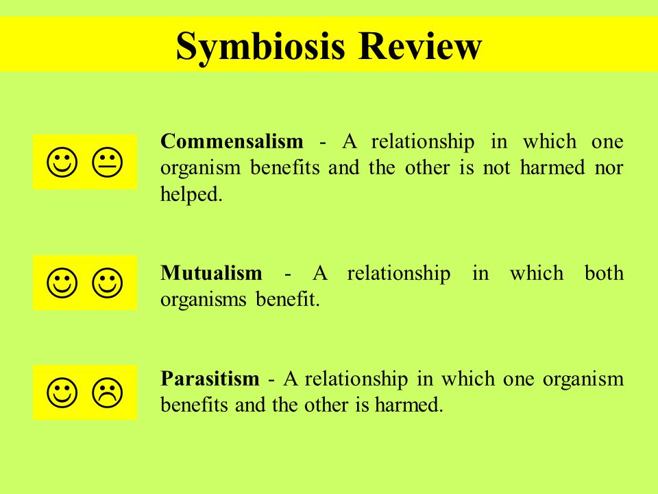 Worksheets Symbiotic Relationship Worksheet symbiotic relationship worksheet sharebrowse relationships virallyapp printables worksheets