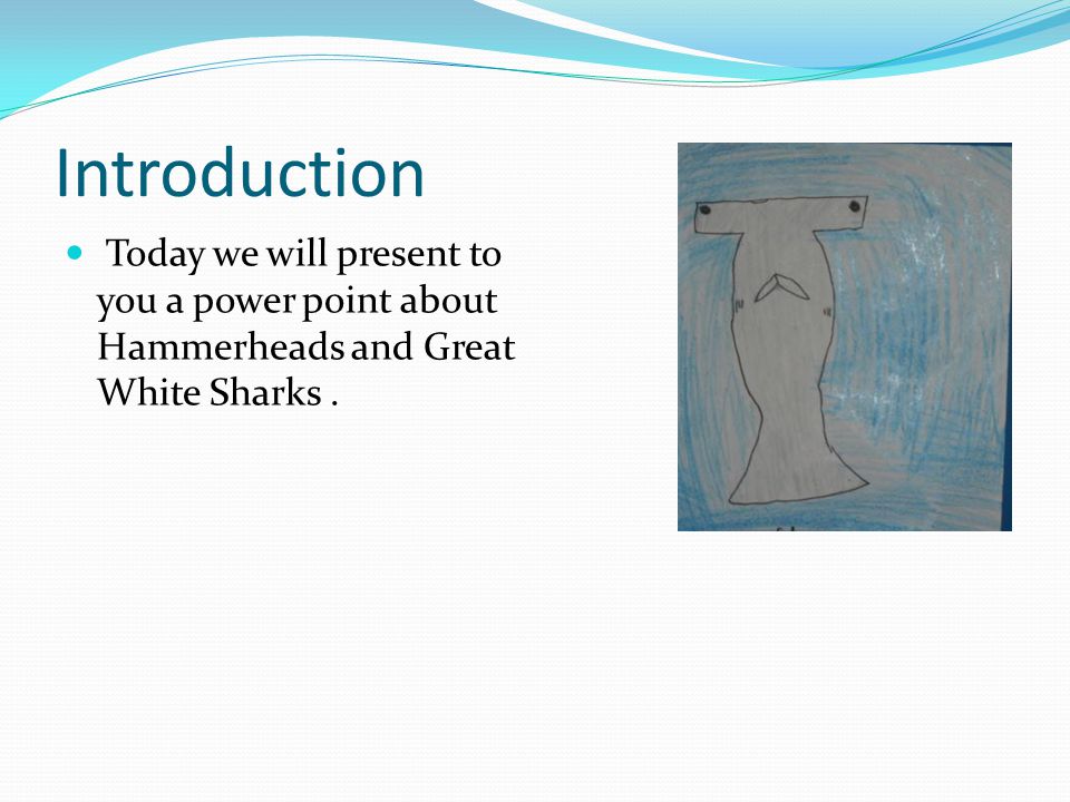 Introduction Today we will present to you a power point about Hammerheads and Great White Sharks.