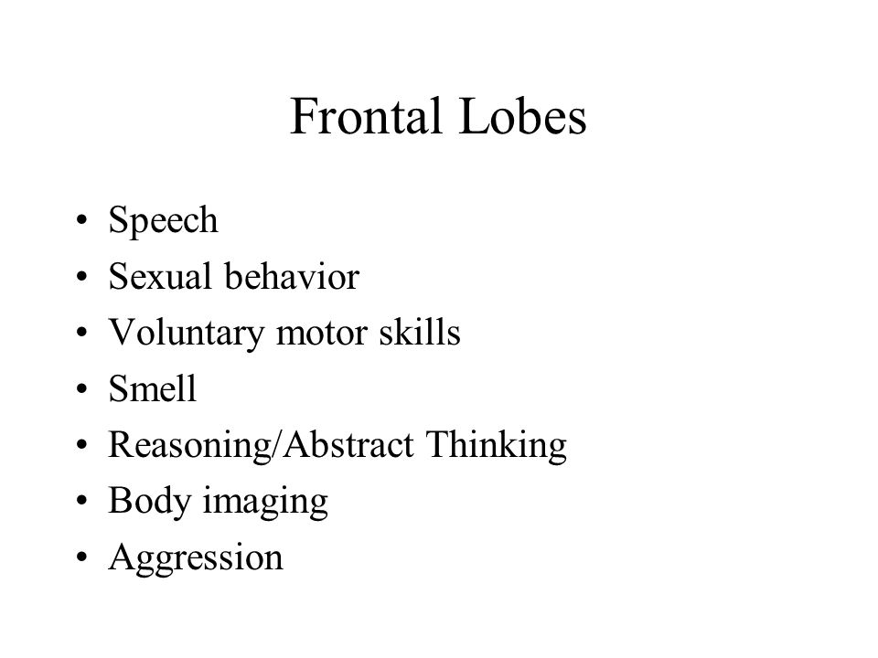 Frontal Lobes Speech Sexual behavior Voluntary motor skills Smell Reasoning/Abstract Thinking Body imaging Aggression