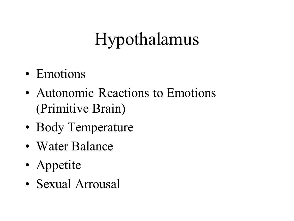 Hypothalamus Emotions Autonomic Reactions to Emotions (Primitive Brain) Body Temperature Water Balance Appetite Sexual Arrousal