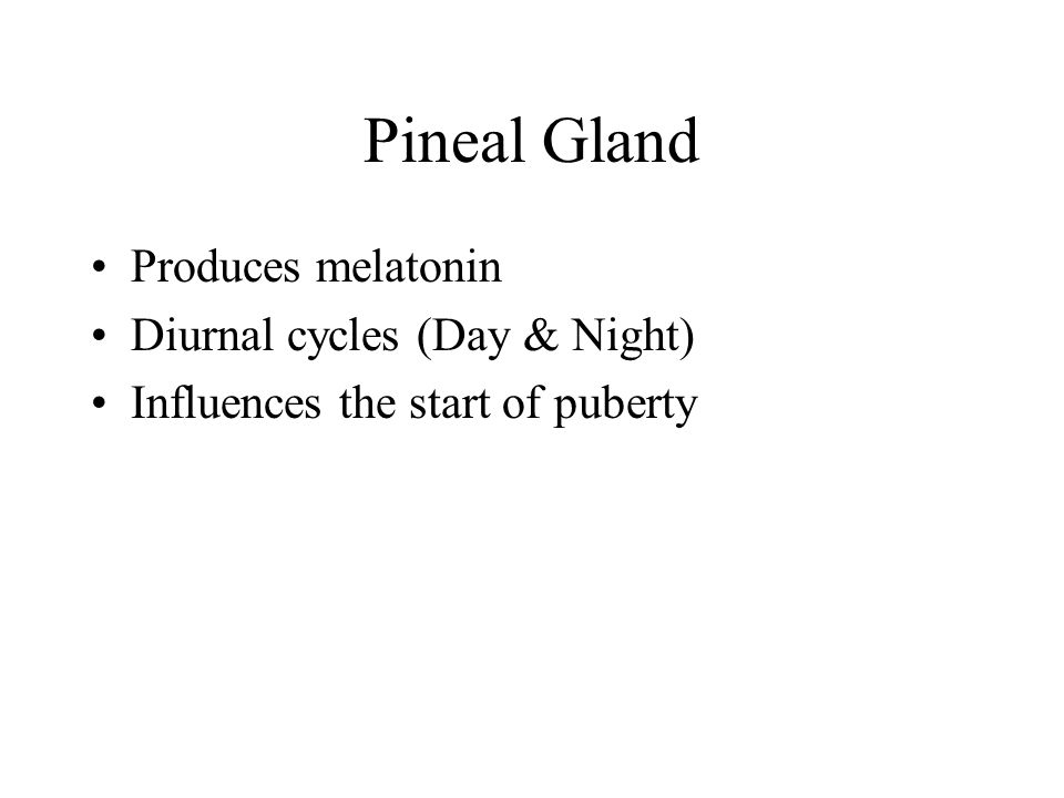 Pineal Gland Produces melatonin Diurnal cycles (Day & Night) Influences the start of puberty