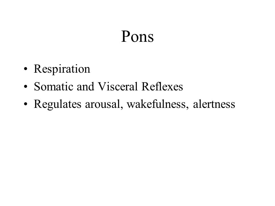Pons Respiration Somatic and Visceral Reflexes Regulates arousal, wakefulness, alertness