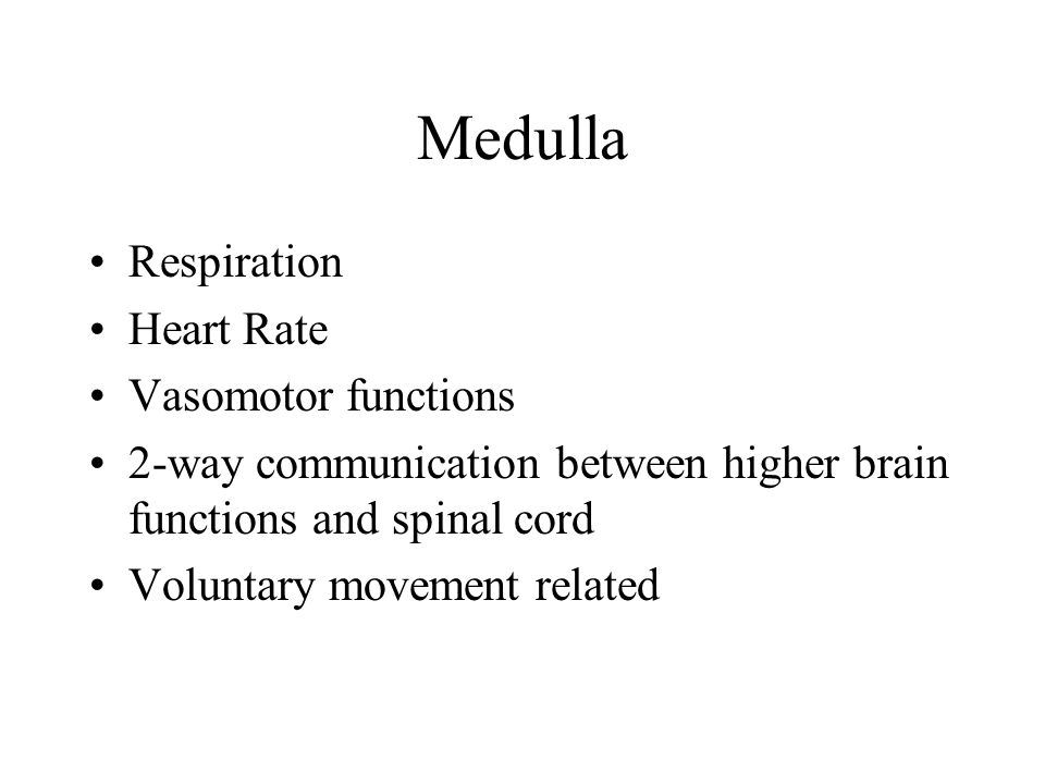 Medulla Respiration Heart Rate Vasomotor functions 2-way communication between higher brain functions and spinal cord Voluntary movement related