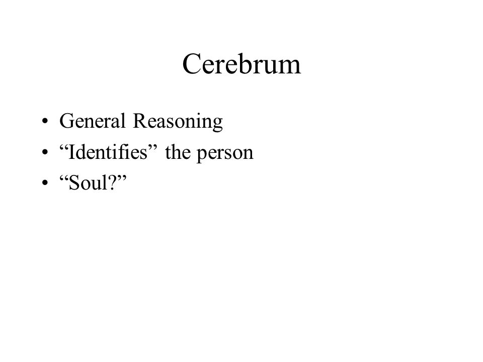 Cerebrum General Reasoning Identifies the person Soul