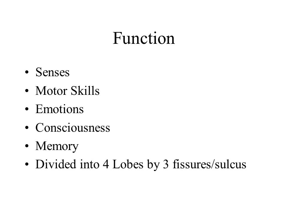 Function Senses Motor Skills Emotions Consciousness Memory Divided into 4 Lobes by 3 fissures/sulcus