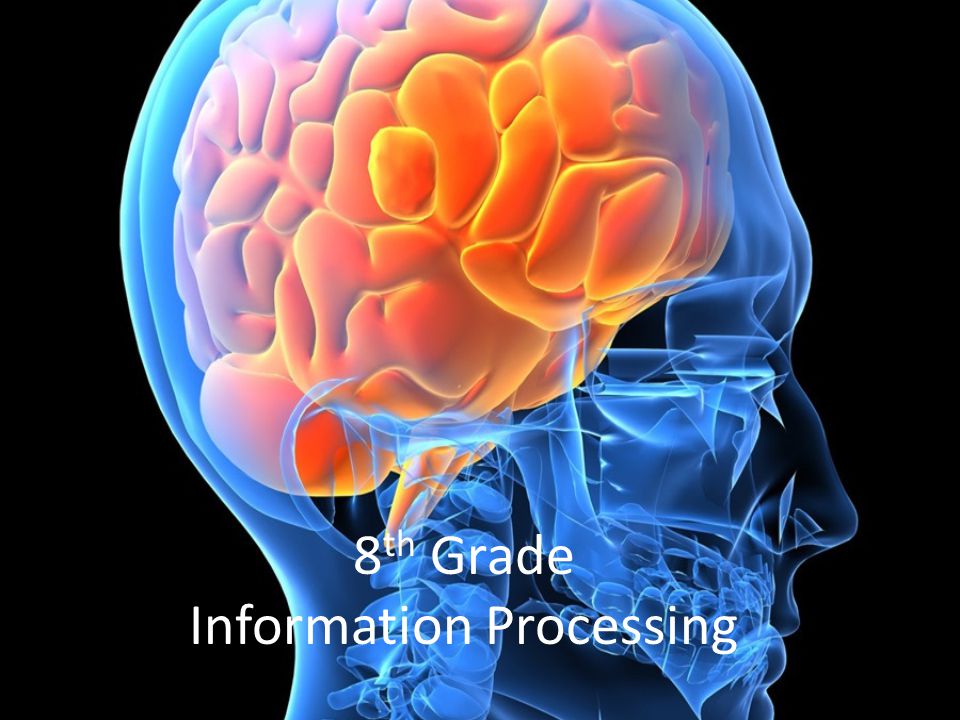 8 th Grade Information Processing