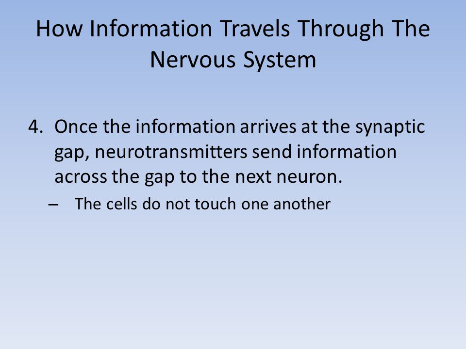 How Information Travels Through The Nervous System 4.Once the information arrives at the synaptic gap, neurotransmitters send information across the gap to the next neuron.