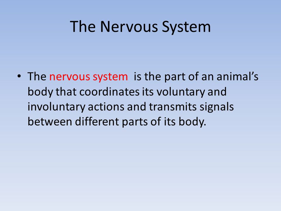 The Nervous System The nervous system is the part of an animal’s body that coordinates its voluntary and involuntary actions and transmits signals between different parts of its body.
