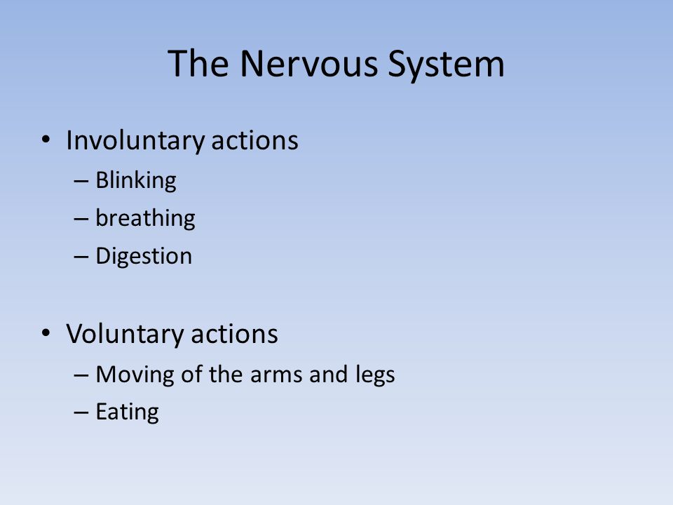 The Nervous System Involuntary actions – Blinking – breathing – Digestion Voluntary actions – Moving of the arms and legs – Eating