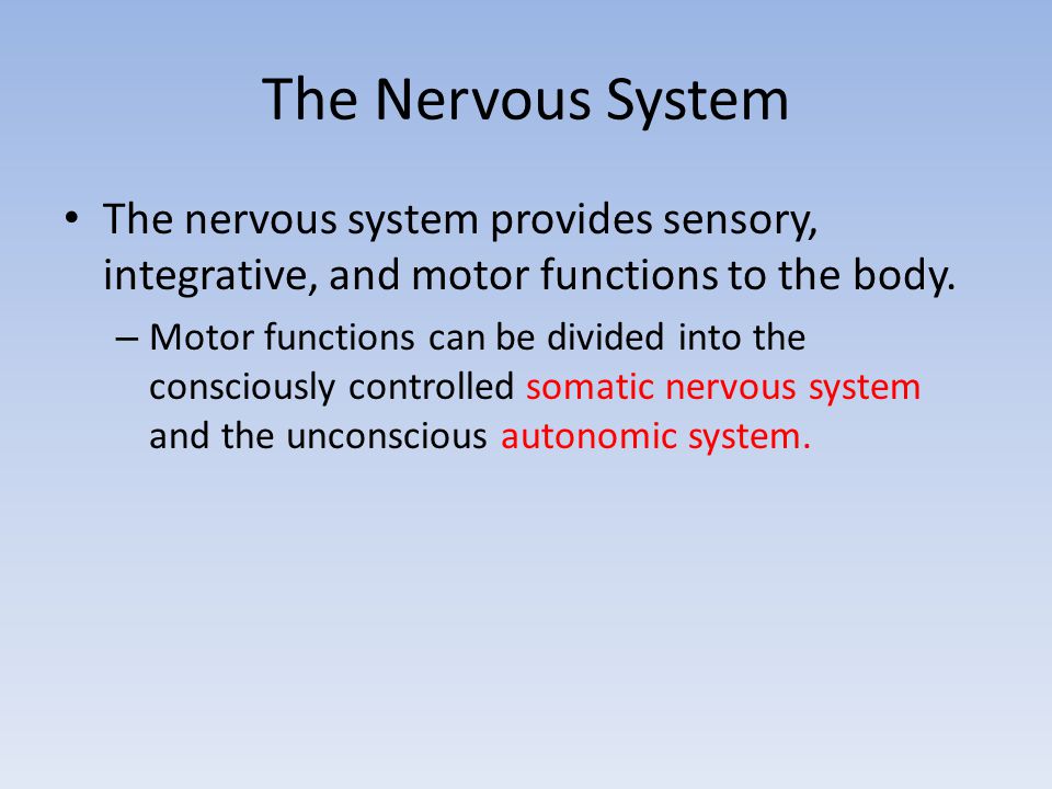The Nervous System The nervous system provides sensory, integrative, and motor functions to the body.