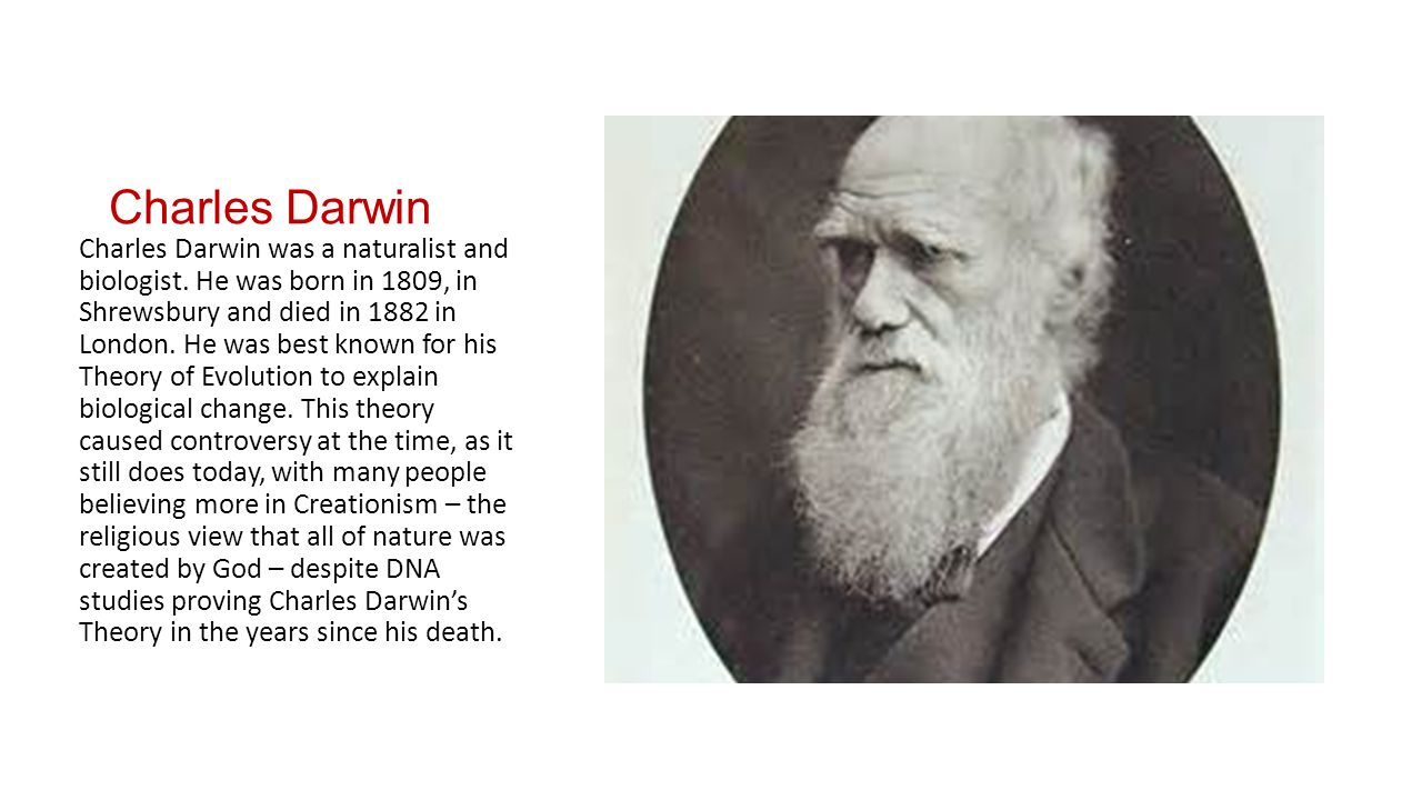 the confirmation of charles darwins discoveries in the human dna Scientific theories change in the light of new discoveries why should we believe what science has to say today about human can find confirmation in. the confirmation of charles darwins discoveries in the human dna Scientific theories change in the light of new discoveries why should we believe what science has to say today about human can find confirmation in.
