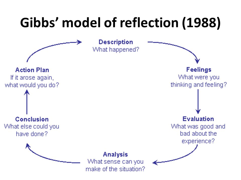 relective essay relective essay