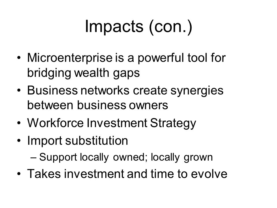 Impacts (con.) Microenterprise is a powerful tool for bridging wealth gaps Business networks create synergies between business owners Workforce Investment Strategy Import substitution –Support locally owned; locally grown Takes investment and time to evolve