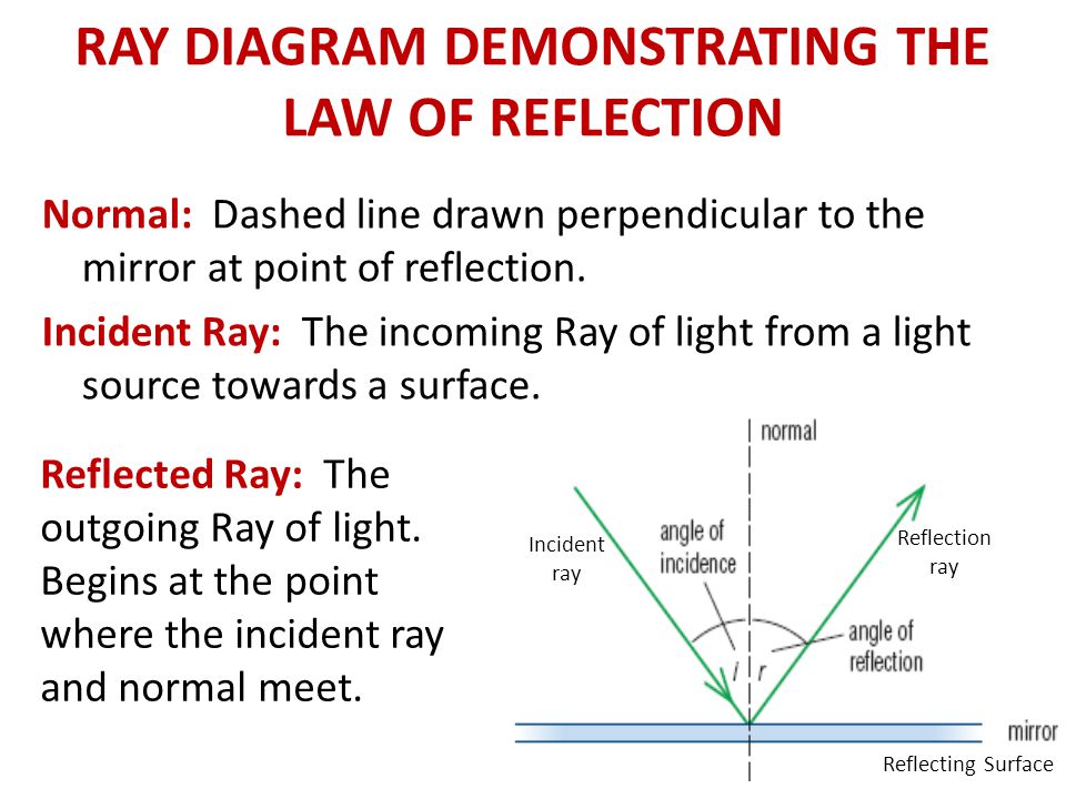RAY DIAGRAM DEMONSTRATING THE LAW OF REFLECTION Normal: Dashed line drawn perpendicular to the mirror at point of reflection.