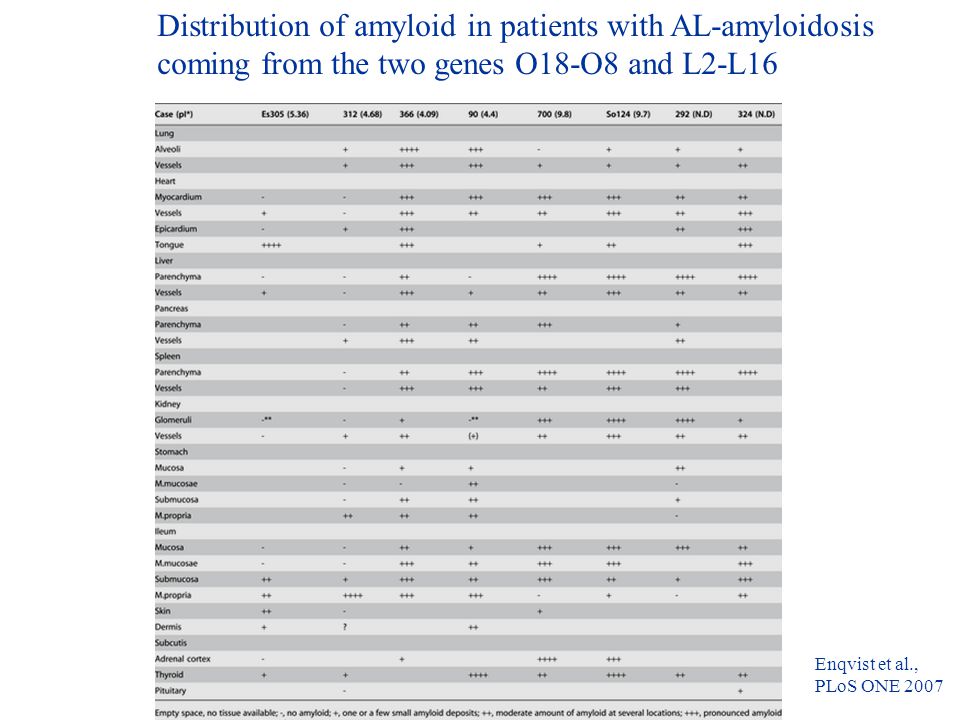 Distribution of amyloid in patients with AL-amyloidosis coming from the two genes O18-O8 and L2-L16 Enqvist et al., PLoS ONE 2007