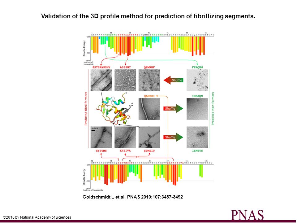 Validation of the 3D profile method for prediction of fibrillizing segments.