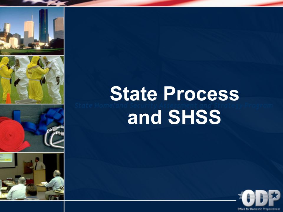 State Homeland Security Assessment and Strategy Program State Process and SHSS