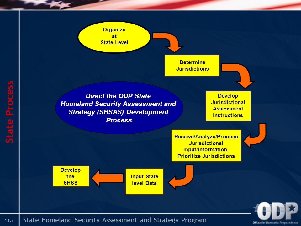 State Homeland Security Assessment and Strategy Program 11.7 State Process Determine Jurisdictions Develop Jurisdictional Assessment Instructions Receive/Analyze/Process Jurisdictional Input/Information, Prioritize Jurisdictions Organize at State Level Input State level Data Develop the SHSS Direct the ODP State Homeland Security Assessment and Strategy (SHSAS) Development Process