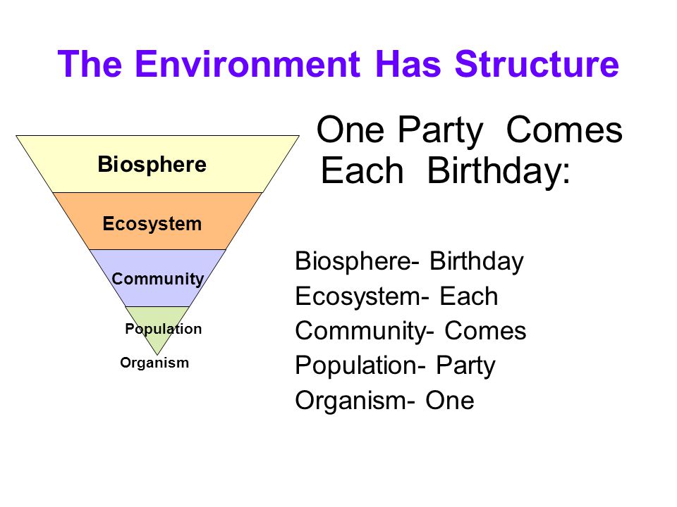 The Environment Has Structure One Party Comes Each Birthday: Biosphere- Birthday Ecosystem- Each Community- Comes Population- Party Organism- One Biosphere Ecosystem Community Population Organism