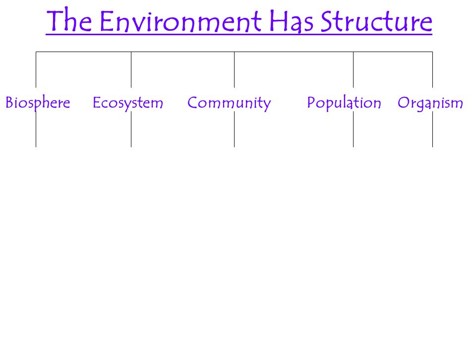 The Environment Has Structure BiosphereEcosystemCommunityPopulationOrganism