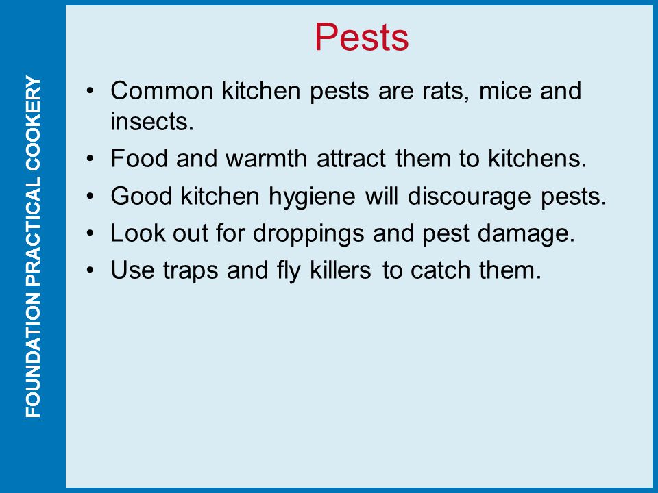 FOUNDATION PRACTICAL COOKERY Pests Common kitchen pests are rats, mice and insects.