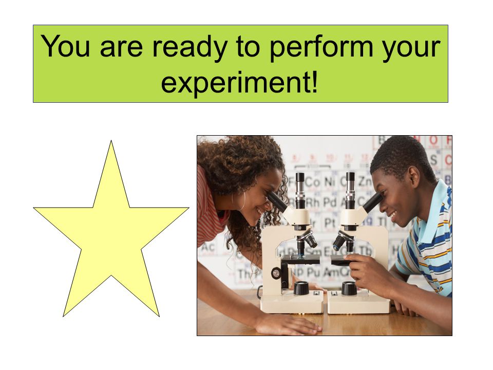 You are ready to perform your experiment!