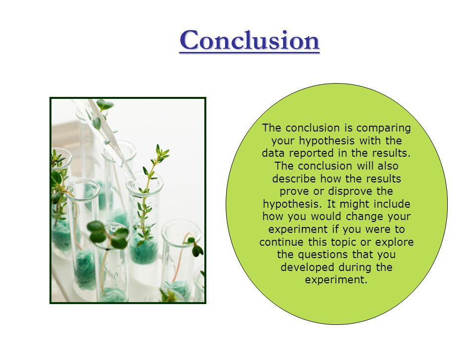 Conclusion The conclusion is comparing your hypothesis with the data reported in the results.