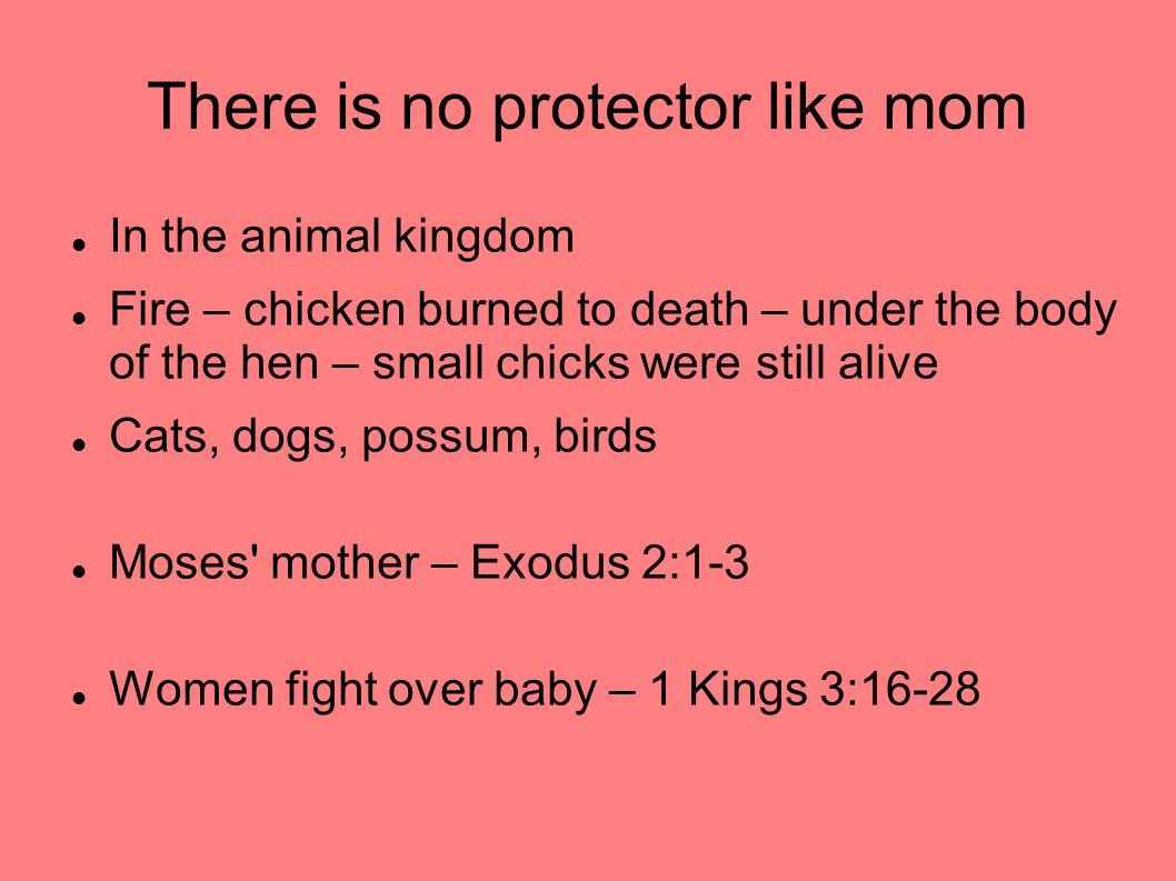 There is no protector like mom In the animal kingdom Fire – chicken burned to death – under the body of the hen – small chicks were still alive Cats, dogs, possum, birds Moses mother – Exodus 2:1-3 Women fight over baby – 1 Kings 3:16-28