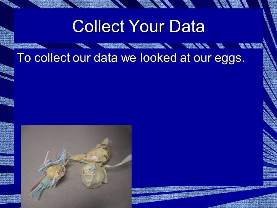 Collect Your Data To collect our data we looked at our eggs.